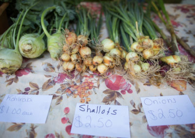 Arlington_Farmers_Market52-1024x683