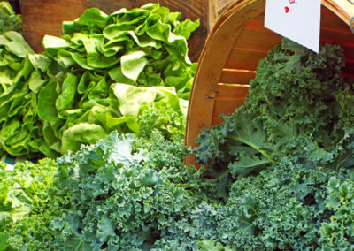 Rustys-Poughkeepsie-Farmers-Market-2015