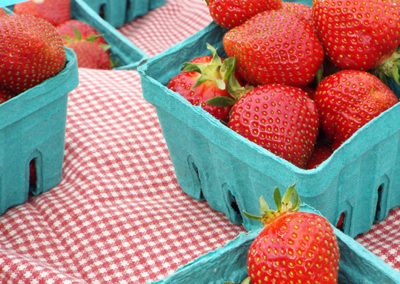 Wilklow_Farms_Strawberries_AFM